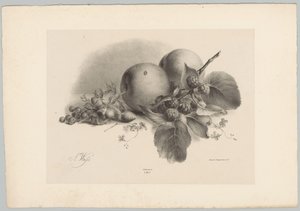 Broskve, bobule, lískové ořechy a ostružiny Flower and Fruit Studies (...) 10. epizoda (název série) od Anton Weiss