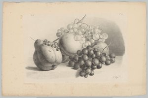Dýně, bobule, hrozny a broskve Flower and Fruit Studies (...) 3. epizoda (název série)