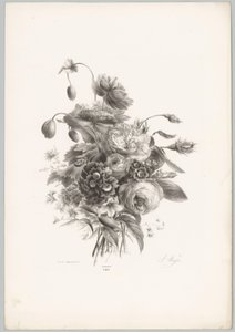 Růže a jiné květiny Flower and Fruit Studies (...) 10. epizoda (název série) od Anton Weiss