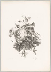 Růže a květiny ve tvaru kalicha Flower and Fruit Studies (...) 10. epizoda (název série) od Anton Weiss