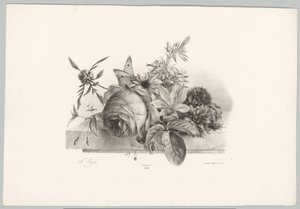 Růže, lilie, květiny ve tvaru zvonu a motýl Flower and Fruit Studies (...) 10. epizoda (název série) od Anton Weiss