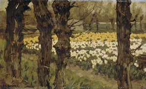 Tulipánová pole od Antonie Louis Koster