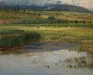 Utopený rybník, 1887 od Antonin Chittussi