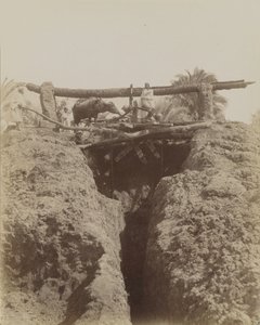 Sehaquieh, Egypt od Antonio Beato