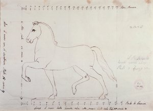 Studie pro koně pro jezdecký monument (kresba od Antonio Canova