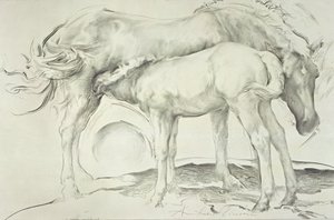 Koně v Coolmore, 1990 (uhlí na papíře)