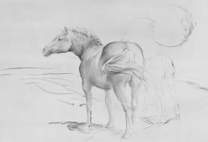 Koně v Coolmore, 1990 (uhlí na papíře) od Antonio Ciccone