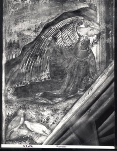 Archanděl Gabriel, detail ze Zvěstování od Antonio Pisanello