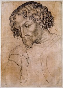 Busta vousatého muže, tři čtvrtiny hlavy nakloněná doleva. Kresba dílny Antonio di Puccio Pisano dit Pisanello (1395-1455). Peří (kresba), krev. Rozměr: 28 x 20 cm. Louvre, kreslířská firma od Antonio Pisanello