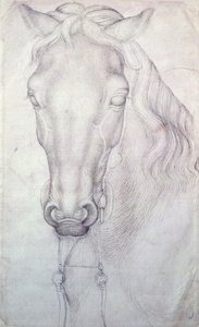 Hlava koně od Antonio Pisanello