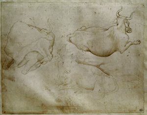 Dvě krávy a jalovec. Kresba Antonia di Puccia Pisano dit Pisanello (1395-1455). Svitek, kovový hrot. Výška: 17,6 cm. Louvre, Kabinet medailí od Antonio Pisanello