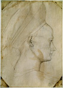 Hlava mladé ženy z profilu vpravo. Kresba dílny Antonia di Puccia Pisano dit Pisanello (1395-1455). Hnědý inkoust, černý kámen, peříčko. Rozměr: 24,6 x 17,2 cm. Louvre, Cabinet des Dessins. od Antonio Pisanello