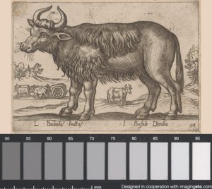 Buvol L Bubalus Indicus/ I Bufola Dindia (název na objektu) Dieren en fablewezens (název série) Nová kolekce nejkurióznějších zvířat světa (název série) od Antonio Tempesta