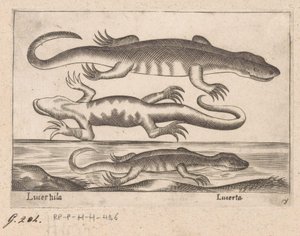 Tři draci Ještěrka/ Ještěrka (název na objektu) Dieren en fablewezens (název série) Nová kolekce nejkurióznějších zvířat světa (název série) od Antonio Tempesta