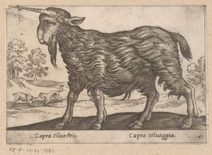 Koza s jedním rohem Capra Silvestris / Capra Selvaggia (název na objektu) Dieren en fablewezens (název série) Nová kolekce nejkurióznějších zvířat světa (název série) od Antonio Tempesta