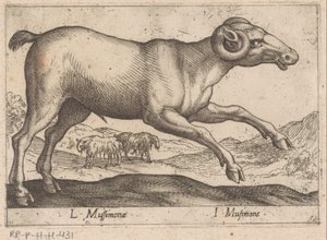 kozí L Mussimonae/ I Musimone (název na objektu) Dieren en fablewezens (název série) Nová kolekce nejkurióznějších zvířat světa (název série) od Antonio Tempesta