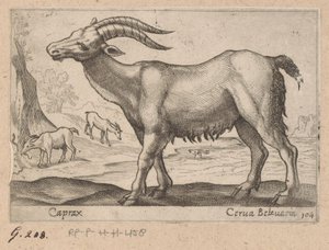 Drahokamy Caprax/ Cerua Belzuaria (název na objektu) Dieren en fablewezens (název série) Nová kolekce nejkurióznějších zvířat světa (název série) od Antonio Tempesta