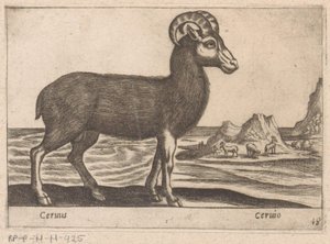 Drahokamy Cerinis / Ceruio (název na objektu) Dieren en fabelwezens (název série) Nova sbírka nejkurióznějších zvířat na světě (název série) od Antonio Tempesta
