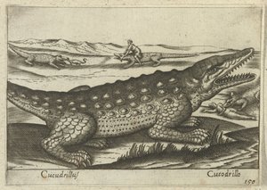 Krokodýl Coccodrillus/krokodýl (název na objektu) Dieren en fablewezens (název série) Nová kolekce nejkurióznějších zvířat světa (název série) od Antonio Tempesta