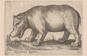 Hroch Hroch/Ippopotamo (název na objektu) Zvířata a mýtická stvoření (název série) Nova raccolta de li animali piu curiosi del mondo (název série) od Antonio Tempesta