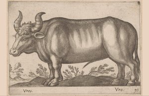 Kolo Vres/Vro (název na objektu) Zvířata a mýtická stvoření (název série) Nova raccolta de li animali piu curiosi del mondo (název série) od Antonio Tempesta