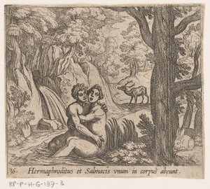 Salmacis a Hermaphroditus Hermaphroditus a Salmacius odcházejí jako jedno tělo (titul na předmětu) Metamorphoseon nebo transformace (název série) Metamorfosen van Ovidius (název série) od Antonio Tempesta