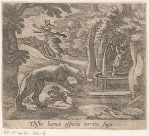 Thisbe vlucht voor the leeuwin by the bron Thisbe aspekt území fugit (titul na objektu) Metamorphosis and Transformation (název série) The Metamorphoses of Ovidius (název série) od Antonio Tempesta