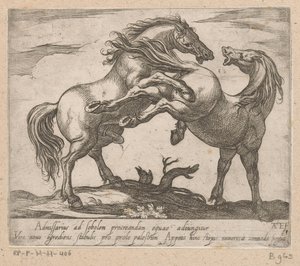 Twee Parende Paarden Paarden uit verschiedelde landen (název série) S těmito vůdci budete oslavováni jako vůdce s viroru ústy.