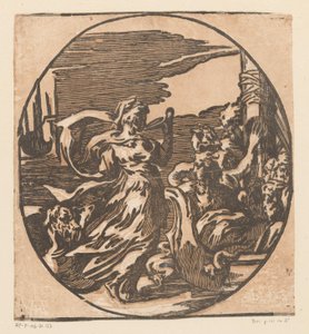 Circe pití