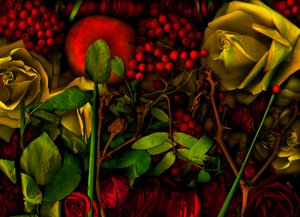 05 magická zahrada č. 36, 2011 (foto) od Antonius Antonius