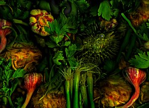 Jiné světy č. 20, 2017 (foto)