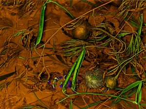 Earthart č. 2, 2014 (foto) od Antonius Antonius