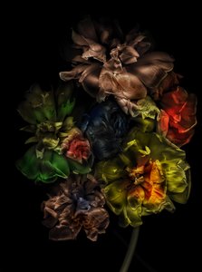 Květiny 13-1, 2025 (foto) od Antonius Antonius