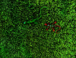 Grass-4;, 2014 (foto) od Antonius Antonius