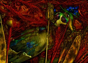 Kouzelná zahrada č. 76, 2012 (foto)