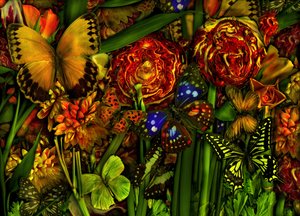 Léto, 2012 (foto) od Antonius Antonius