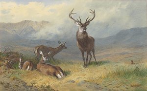 Monarcha z Glenu od Archibald Thorburn