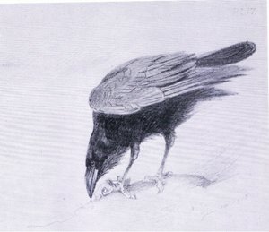 Havran, hospoda. od Book Club Associates od Archibald Thorburn