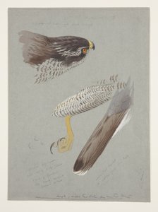 Závěsný od Archibald Thorburn
