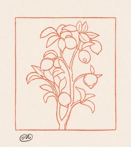 Georgiky: Citronovník od Aristide Maillol