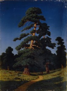 Borovice od Arkhip Ivanovich Kuindzhi