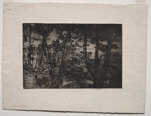 Stromy v noci, c. 1894. od Armand Séguin