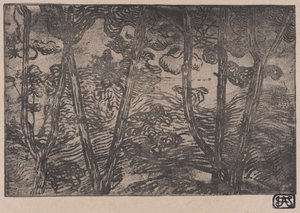 Stromy v noci, ca. 1894. od Armand Séguin