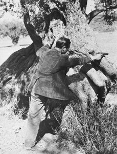 Salvatore Giuliano mířící pistolí, 1937
