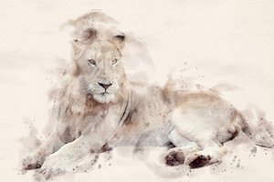Akvarel „Majestátní bílý lev“