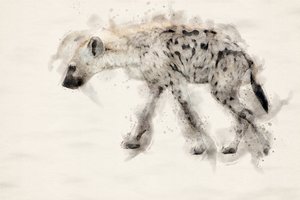 Akvarel: Hyena skvrnitá