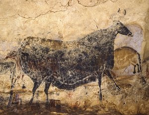 Černá kráva. Jeskynní malba Lascaux, asi 16 000-15 000 před naším letopočtem. od Art of the Upper Paleolithic.