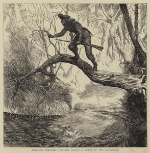 American Sketches, On the Scout, Scéna in the Backwoods