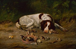 Dobrý pejsek od Arthur Fitzwilliam Tait