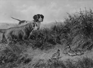 On Point, 1874. od Arthur Fitzwilliam Tait